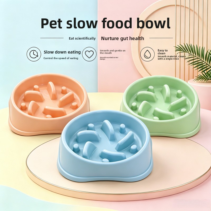 1/3 Buah Mangkuk Anjing Anti S - Royal Canin Food Medium ulasan dan harga