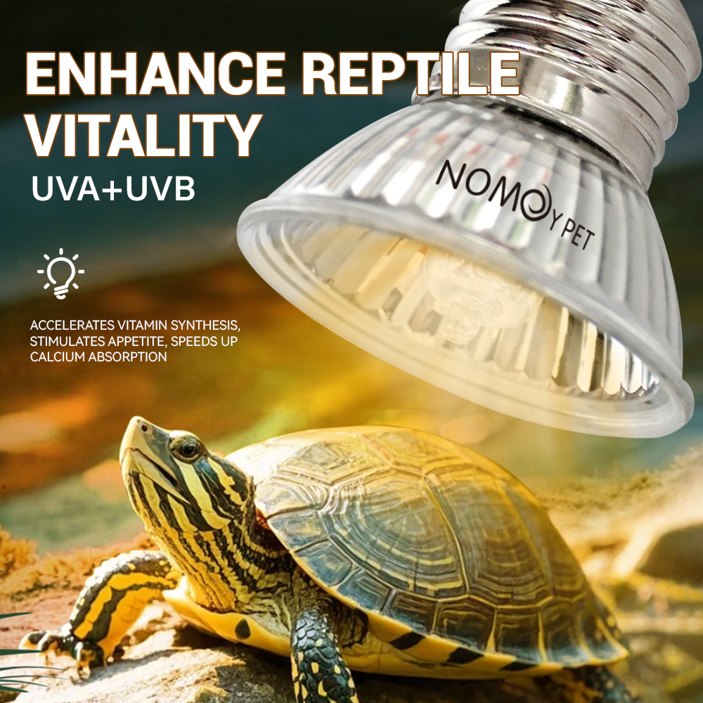 Lampu UVA UVB 50W untuk Reptil - Vitamin D3 Reptile ulasan dan harga
